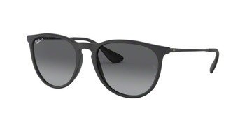 Ray-Ban RB 4171 ERIKA 622/T3