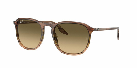 Ray Ban RB 2203 13920A