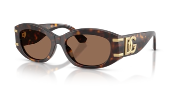 Dolce & Gabbana DG 4502 502/73