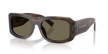 Okulary przeciwsłoneczne Dolce & Gabbana DG 4503 3200/3