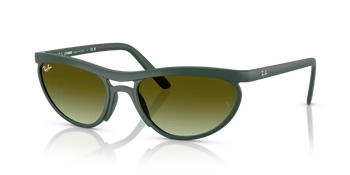 Ray-Ban RB 4453 6016E8