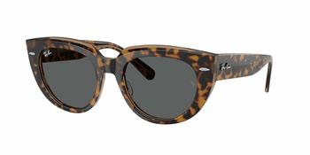 Okulary Przeciwsłoneczne Ray-Ban RB 2286 Havana On Transparent Brown