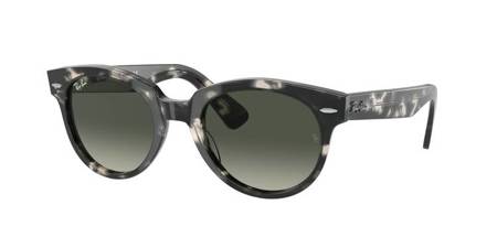 Okulary Przeciwsłoneczne Ray-Ban RB 2199 ORION 133371